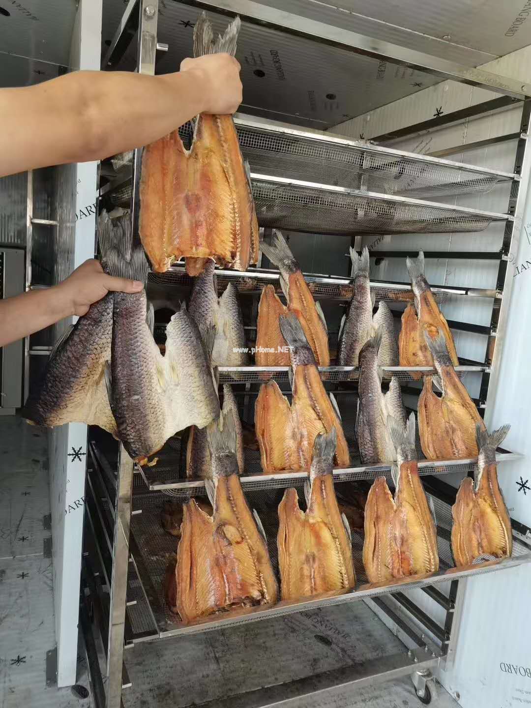 魚(yú)干烘箱