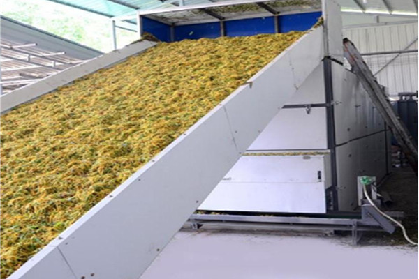 網(wǎng)帶式金銀花烘干機